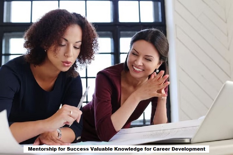 Mentorship for Success
